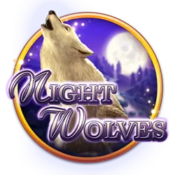 bingo biscuit how to bet on afl